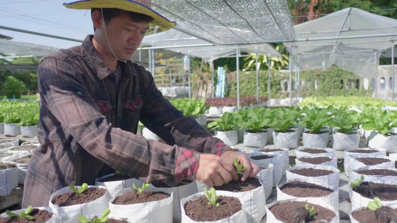 亚洲人在菜园里种菜视频素材