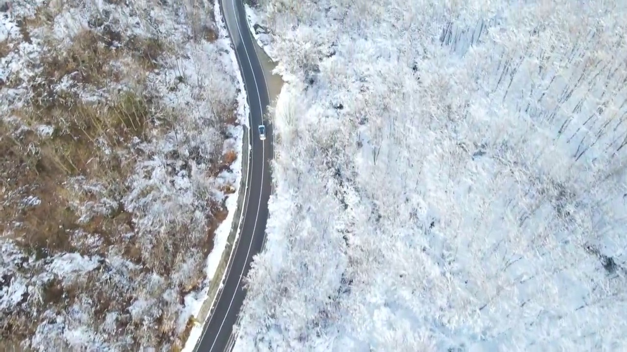 冬天独自驾车行驶在森林里的高速公路上视频素材