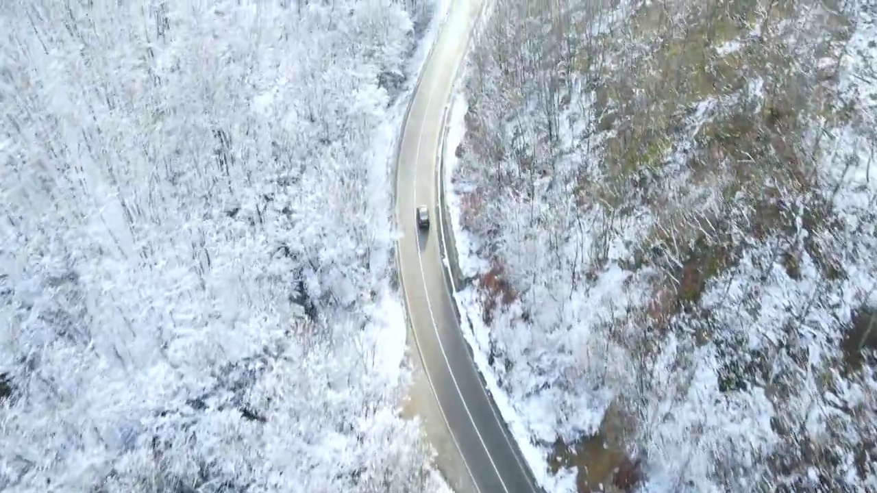 从空中俯瞰一条穿过冰冻森林的道路视频素材