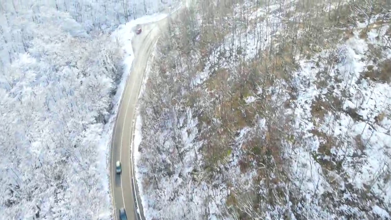 繁忙的道路穿过雪原的森林视频素材