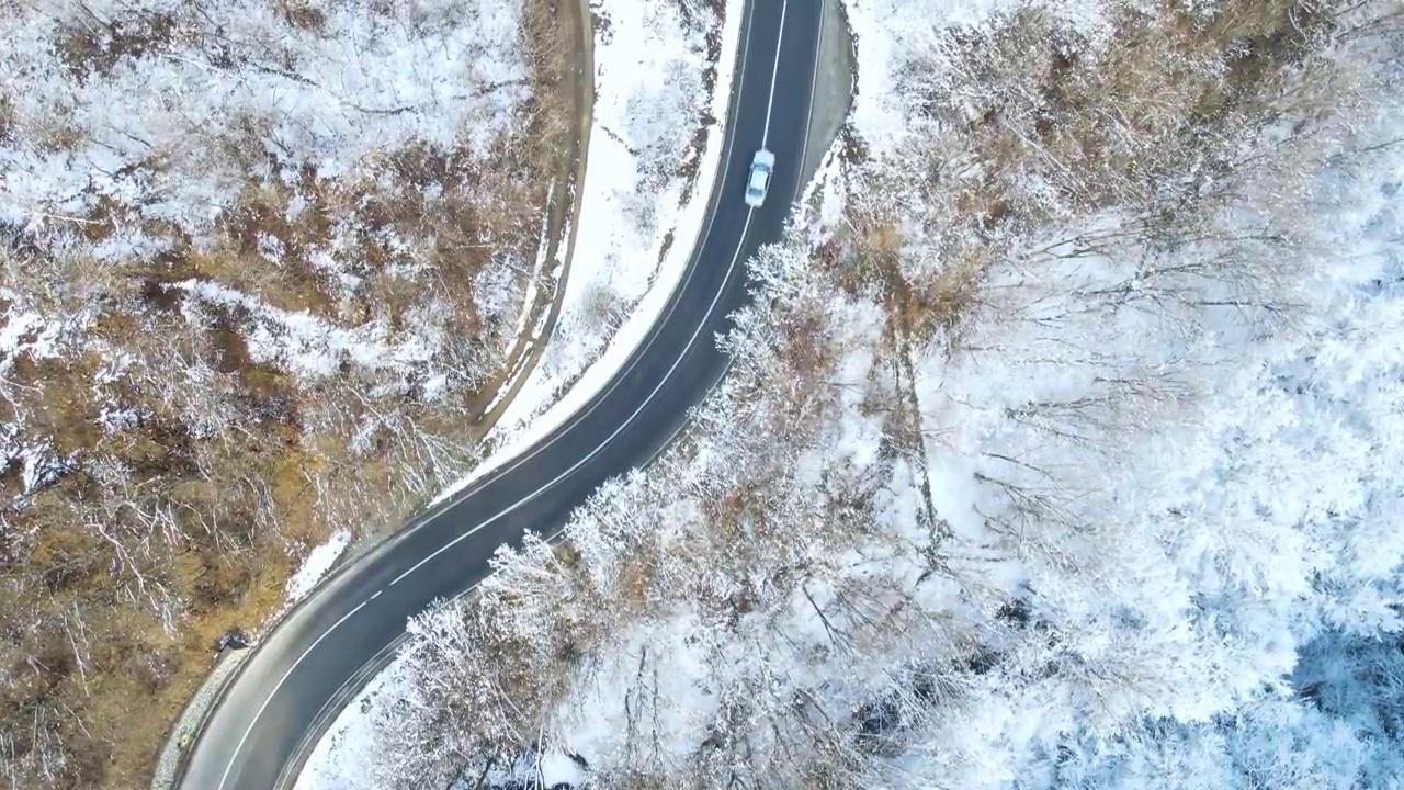 在冬天，高速公路上的汽车穿过森林视频素材