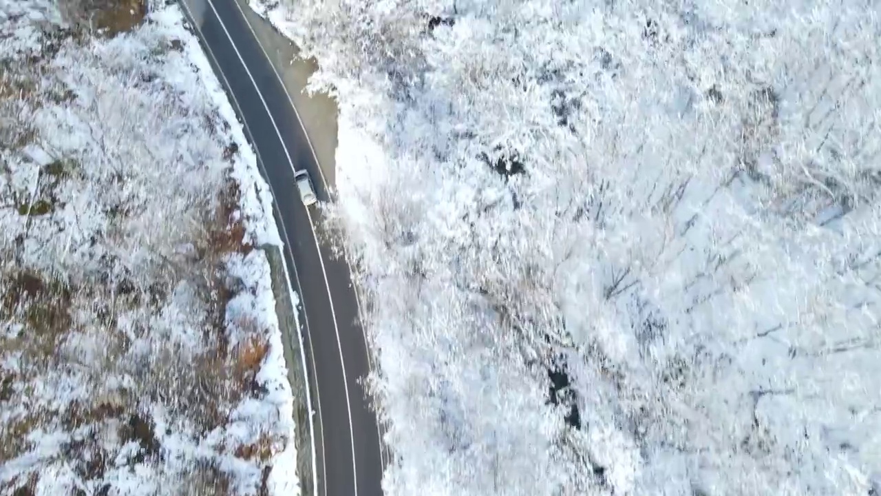 汽车行驶在通往森林的雪路上视频素材