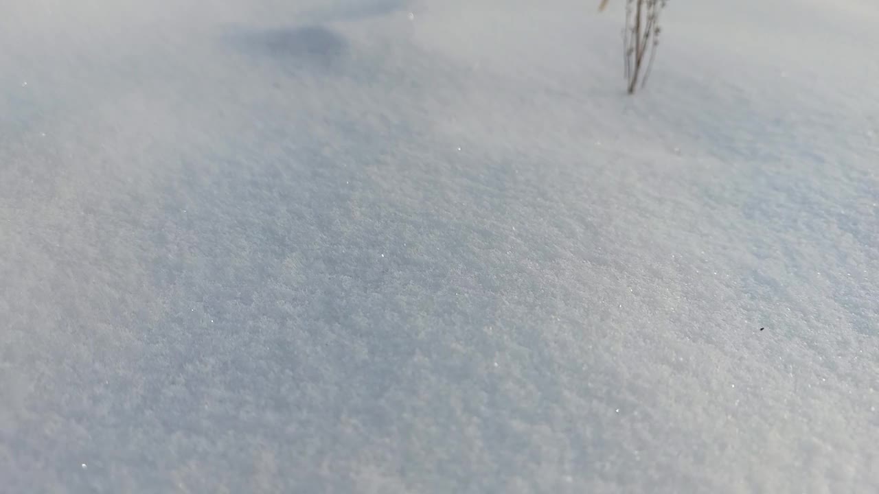 冬日的雪景视频素材