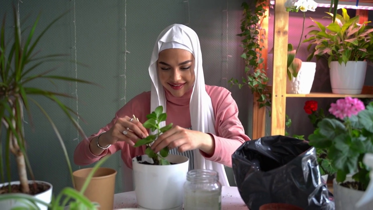 一位年轻的中东穆斯林妇女正在照料室内植物。家庭园艺，家务，家务视频素材