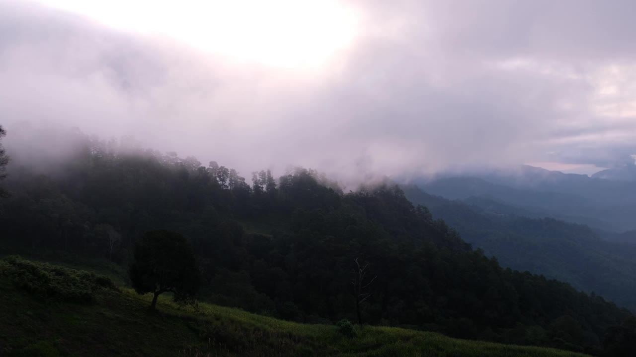 在雾天，绿色雨林山脉的景观视图视频素材