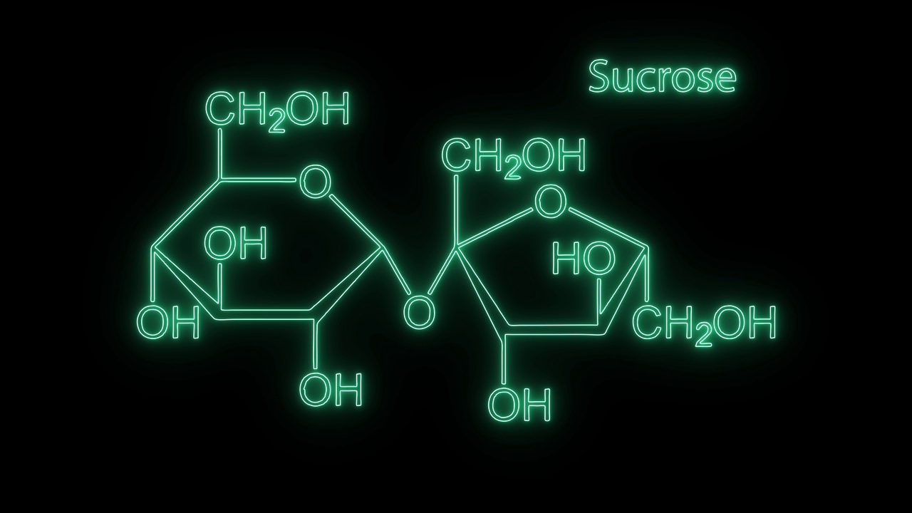 蔗糖分子结构符号霓虹灯动画在黑色背景。视频素材