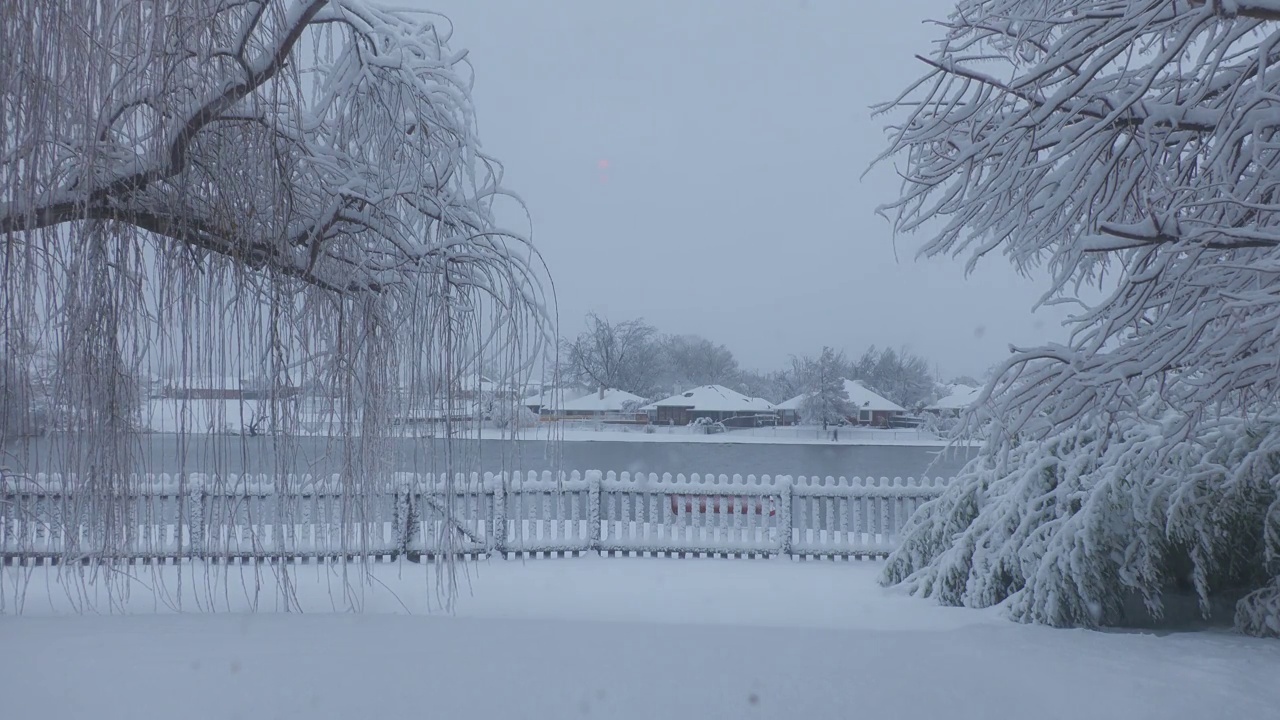 白雪覆盖的地面上，一个人带着他的狗穿过冰冻的池塘视频素材