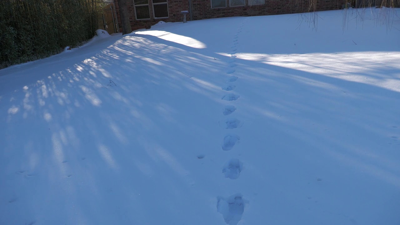 后院被厚厚的积雪覆盖，留下一排脚印视频素材