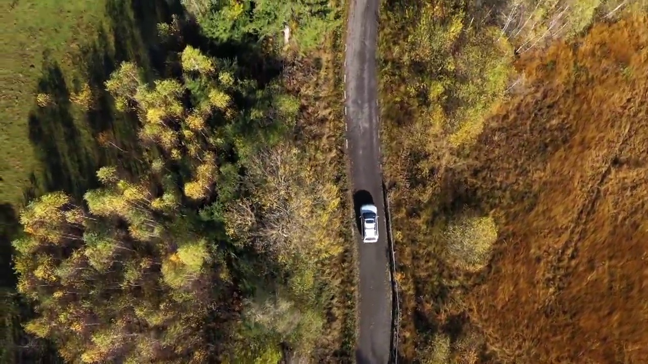 在一辆白色汽车的上空飞翔，行驶在五彩缤纷的秋天森林道路上。无人机视角视频素材