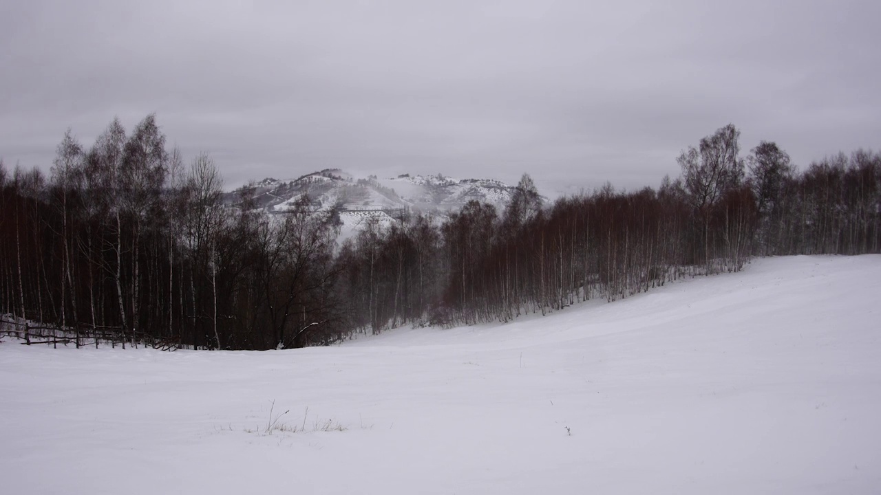 薄雾从白桦林在雪山上升起视频素材