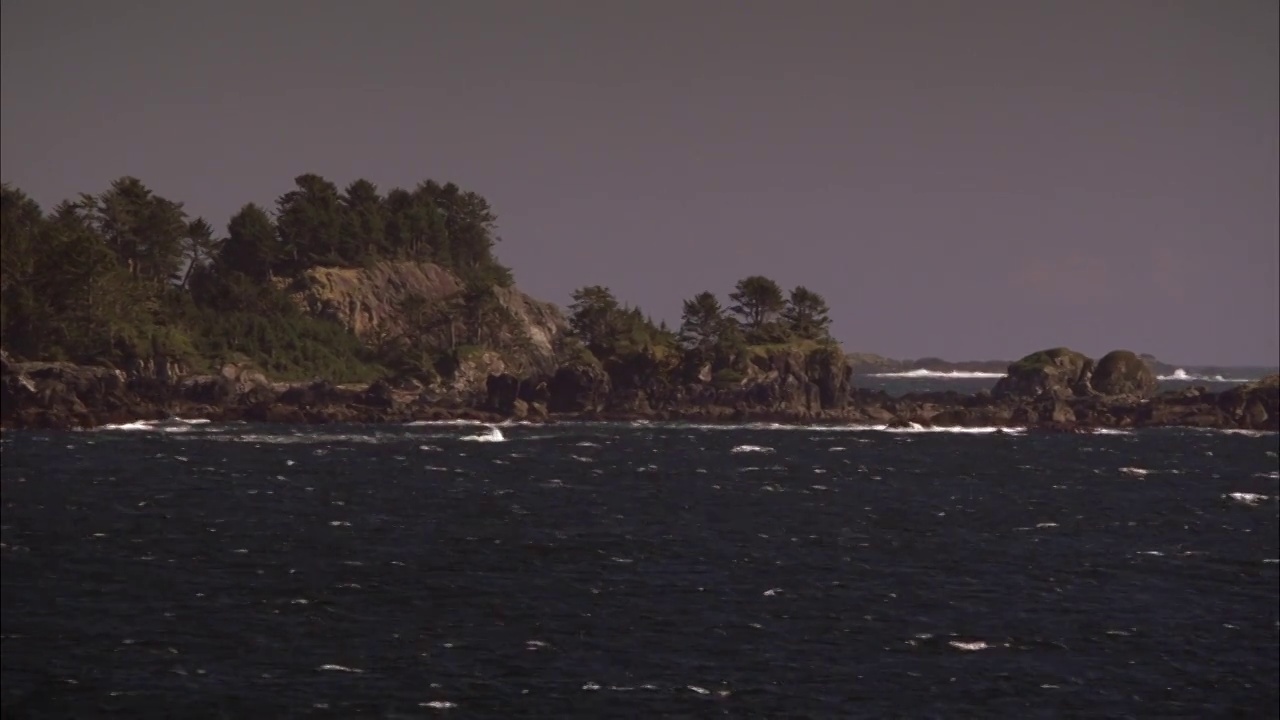 广角海浪冲击岩石，崎岖的海岸线覆盖着树木。海洋。视频素材