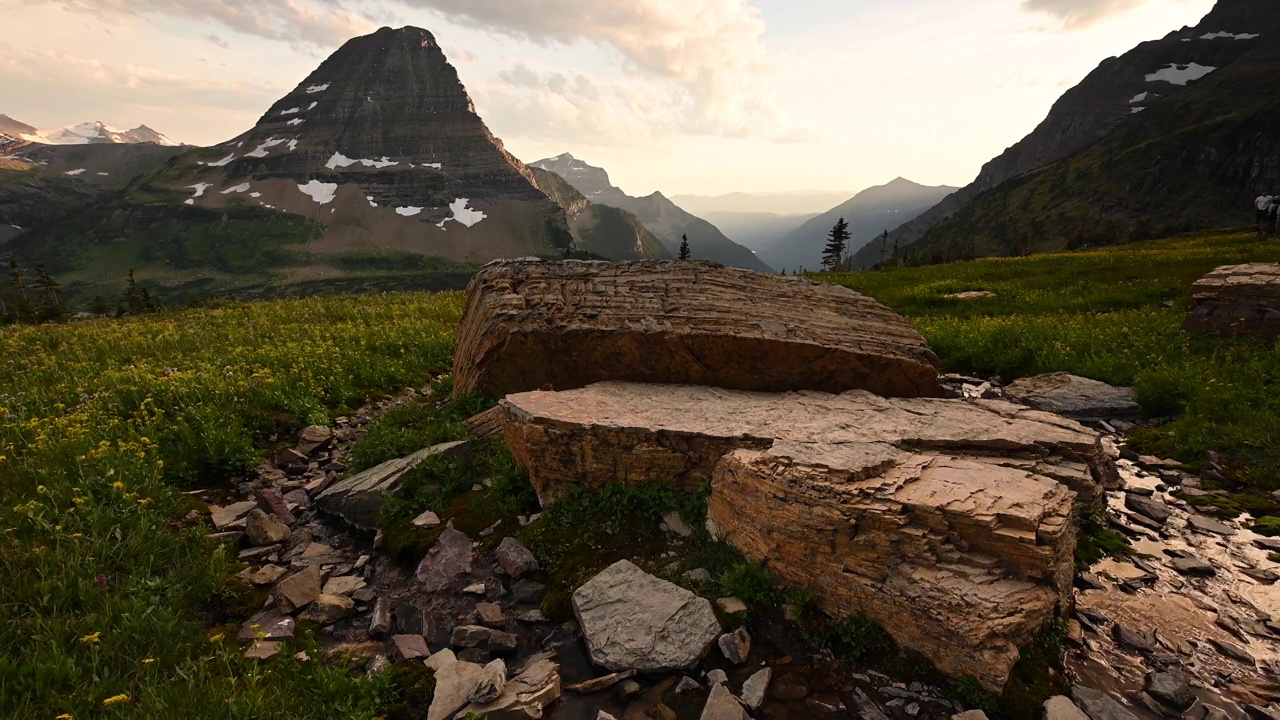 洛根山口(Logan Pass)的花在日落时盛开视频素材