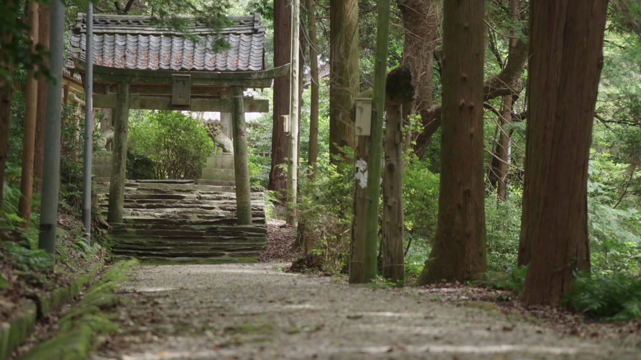 日本对马岛的神社视频素材