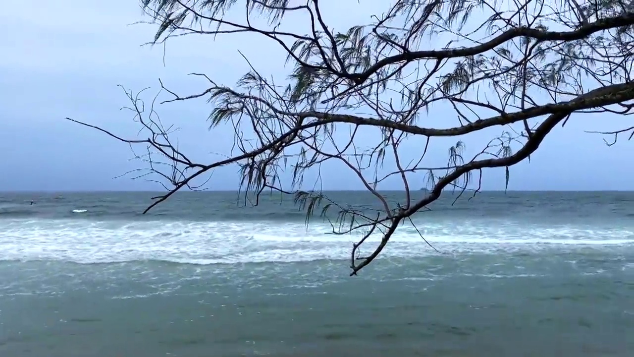 浮木海岸到阴天的海浪视频素材