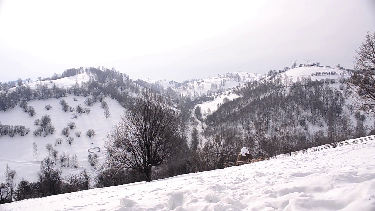 冬天的风景是被森林覆盖的小山和大量的雪视频素材