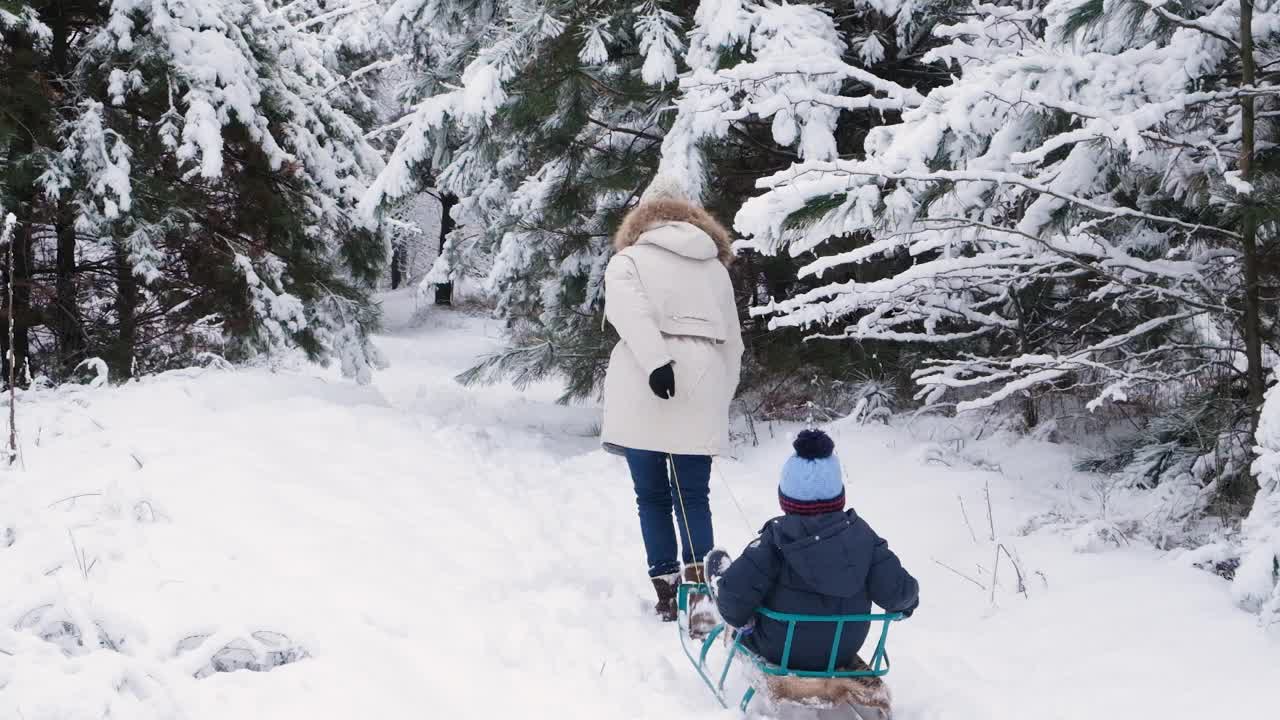 冬天，一位母亲在滑雪胜地的白雪覆盖的森林里拉着她的儿子，慢镜头拍摄。视频素材