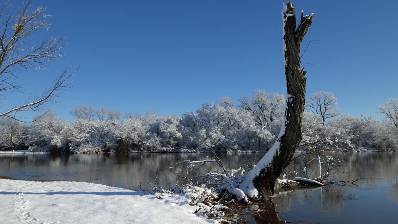 美丽寒冷的冬天早晨，雪覆盖着湖边视频素材