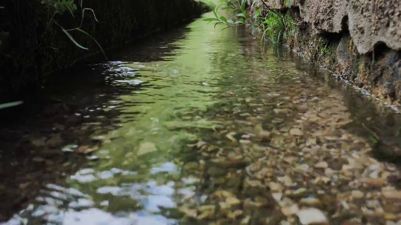 水流特写镜头。淡水在河中流淌。自然资源的概念。清新、纯净、自然的生态水视频下载