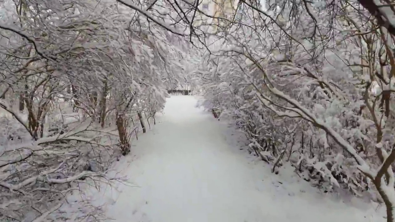 冬天的城市。镜头直接穿过光秃秃的树木和覆盖着积雪的灌木丛视频素材