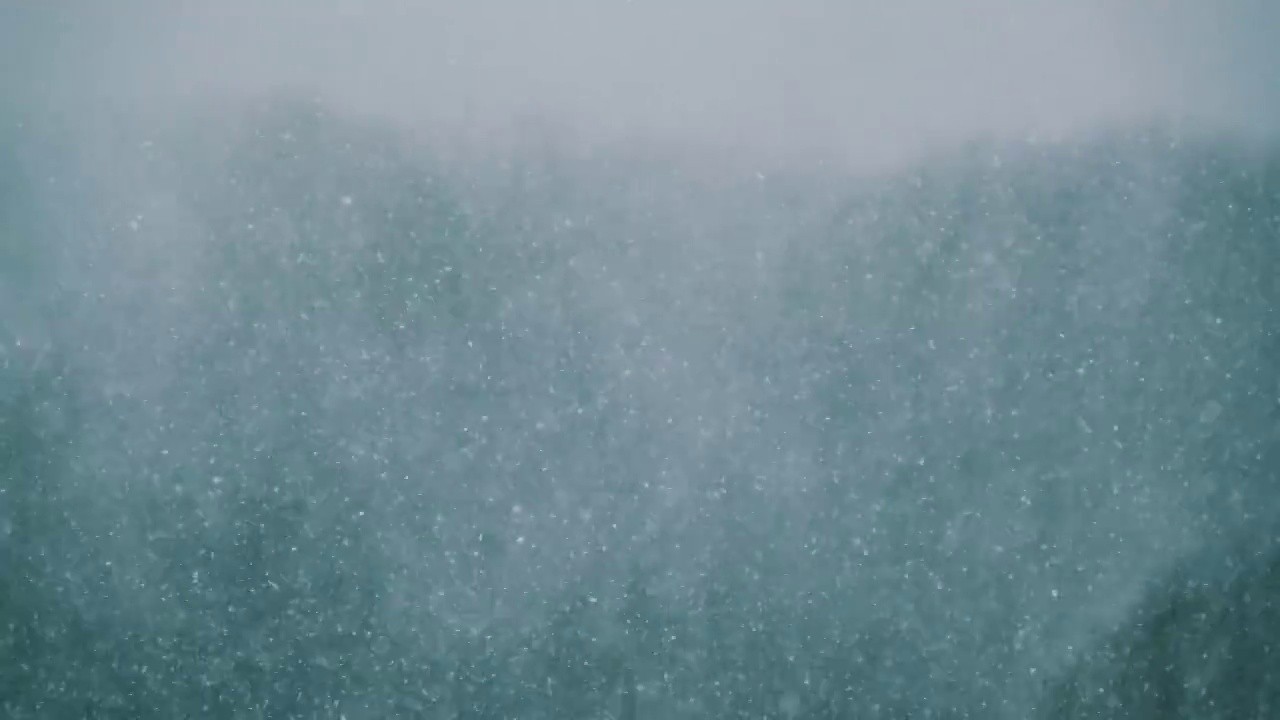 冬季森林的背景上的大雪，暴风雪，暴风雪视频素材