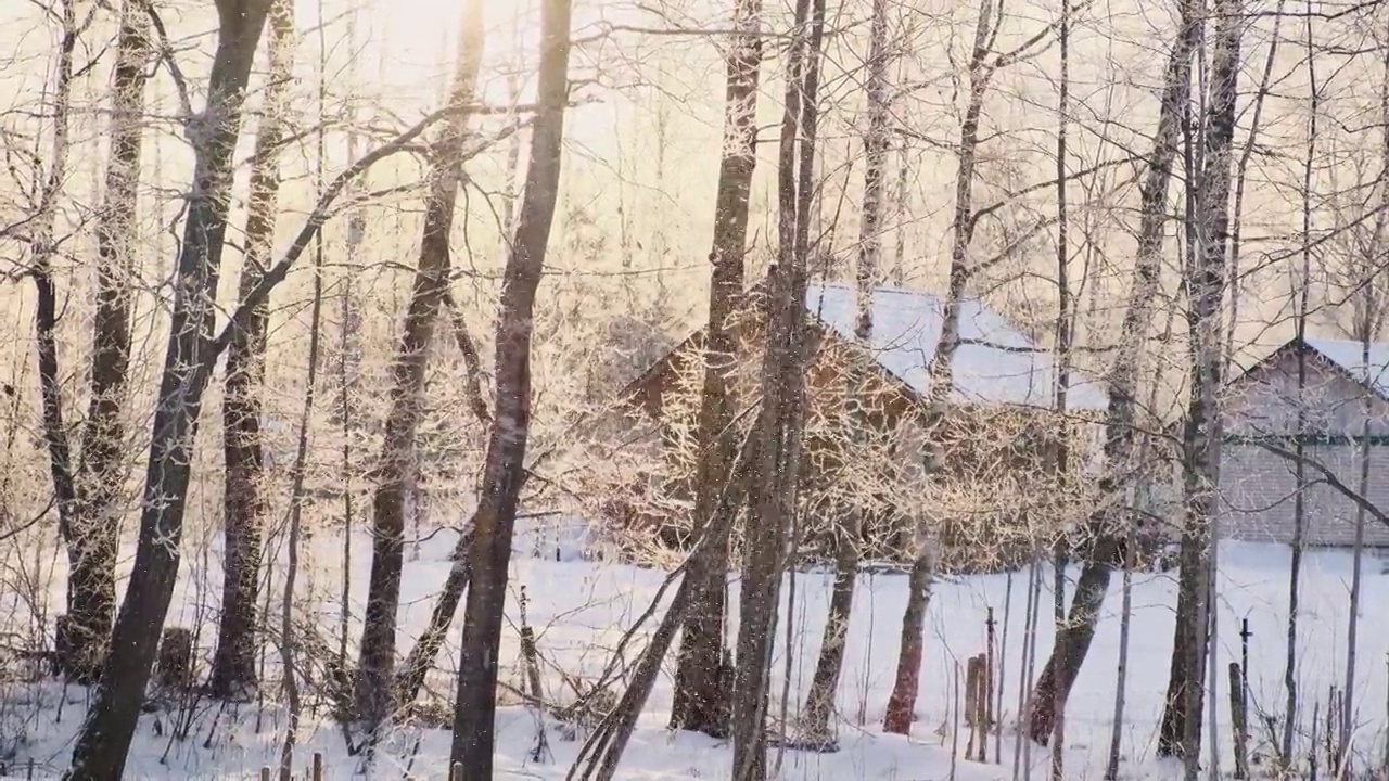 雪在阳光村。美丽的冬季景观，雪和模糊的树木背景。阳光和下雪的天气，霜冻的寒冷的日子，黄色温暖的阳光。阳光明媚的冬季森林景观。日落。4 k视频素材