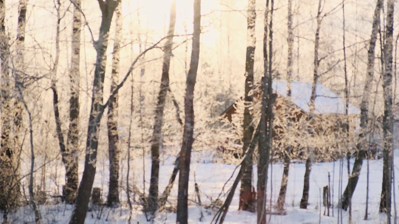 模糊，散焦的视频降雪在阳光村。美丽的冬季景观，雪和模糊的树木背景。阳光和下雪的天气，霜冻的寒冷的日子，黄色温暖的阳光。日落。4 k视频素材