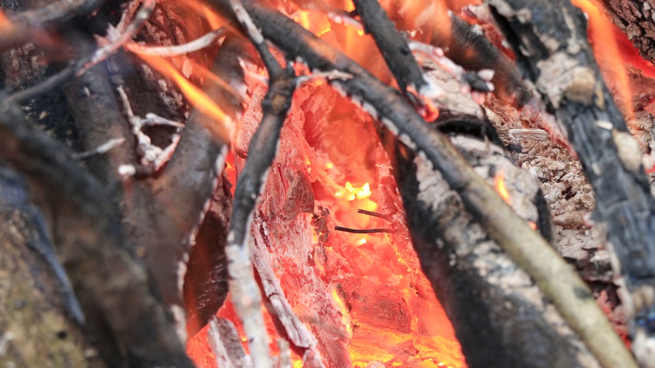 特写柴火。树桩着火了视频下载