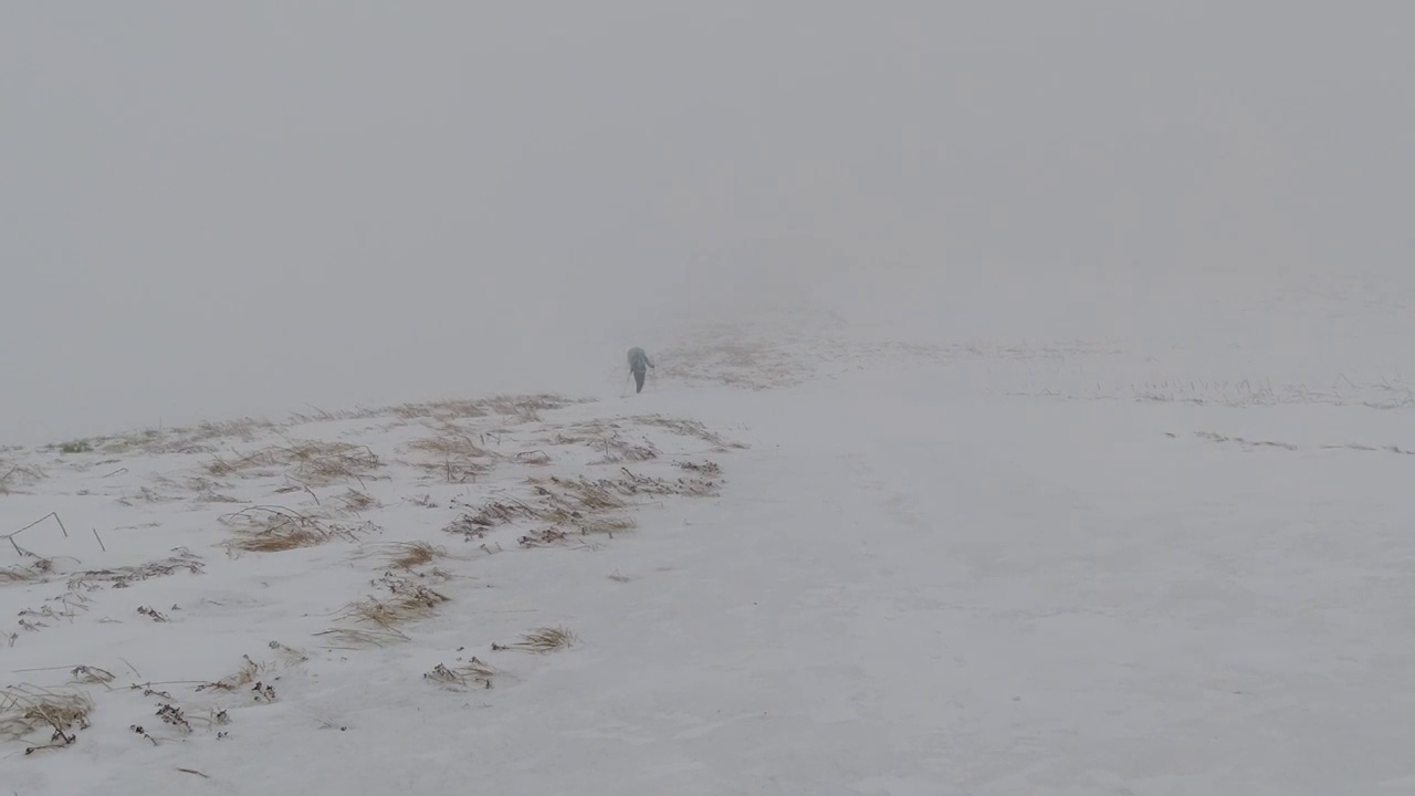 冬天山上的女人。暴雪。可怜的可见性。喀尔巴阡山。Borzhava。视频素材