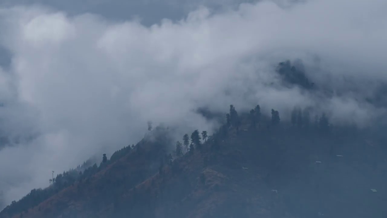 当太阳间歇地照耀在雾和风景上时，雾在松树间穿行视频素材