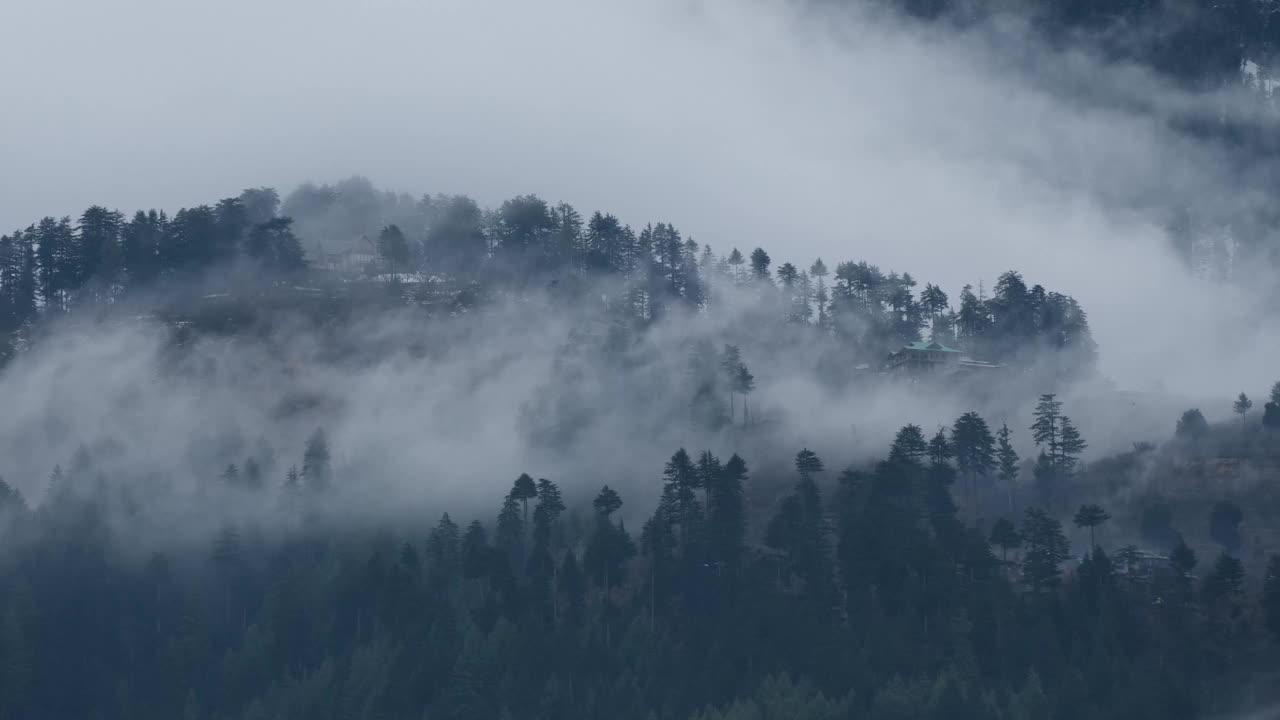 在一个阴天的冬季下午，近距离的雾通过喜马拉雅村庄和高大的松树视频素材