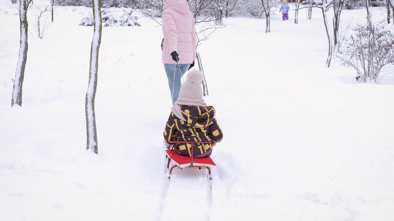 冬天的雪橇时间。视频素材