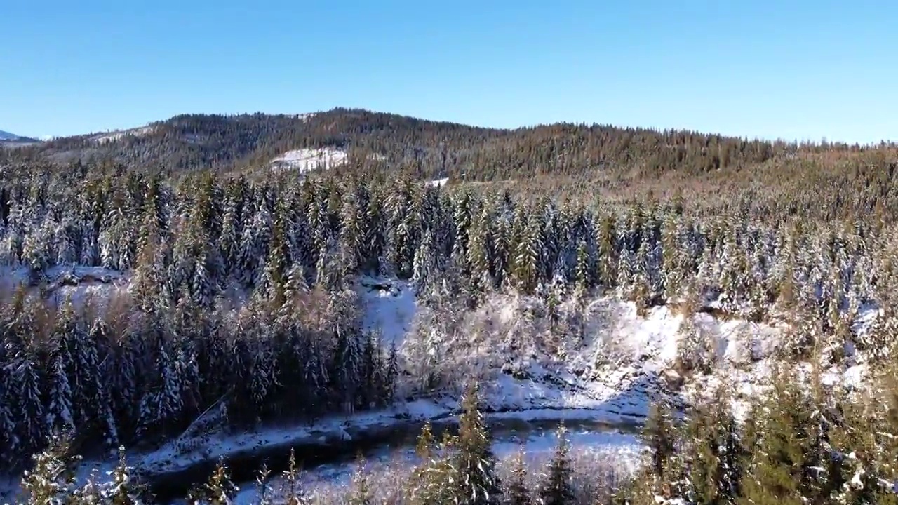 鸟瞰阿尔卑斯山的风景，美丽的高山在背景中。冰雪覆盖的冬季森林被雪覆盖。史诗般的未被破坏的冬季景观视频素材