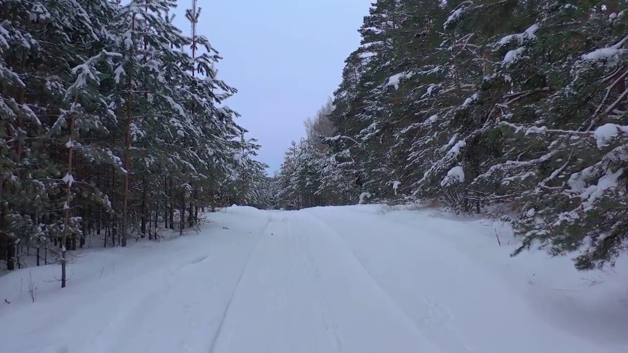 从无人机鸟瞰积雪覆盖的冬季松树林。松树的树枝上结满了霜视频素材