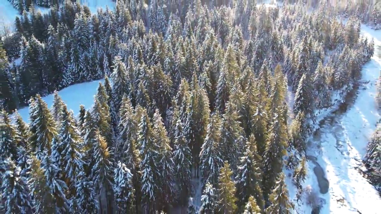 鸟瞰阿尔卑斯山的风景，美丽的高山在背景中。冰雪覆盖的冬季森林被雪覆盖。史诗般的未被破坏的冬季景观视频素材