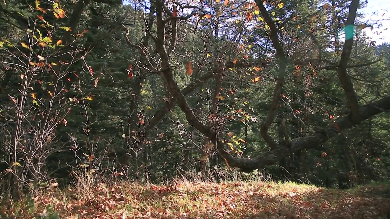 徒步旅行路线视频素材