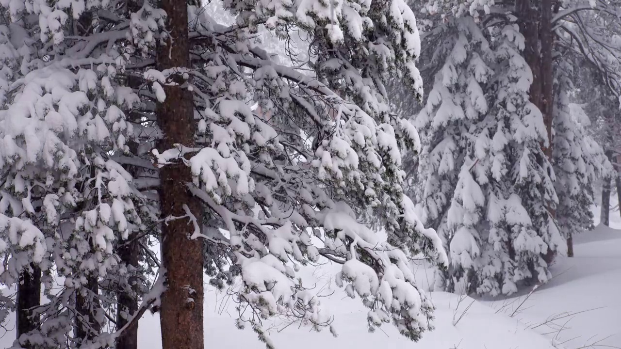 下雪的冬天视频素材