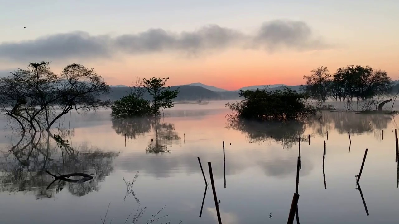 清晨的薄雾漂浮在湖面上。黎明时分，太阳升起之前，湖面上的蒸汽慢慢地漂浮着视频素材