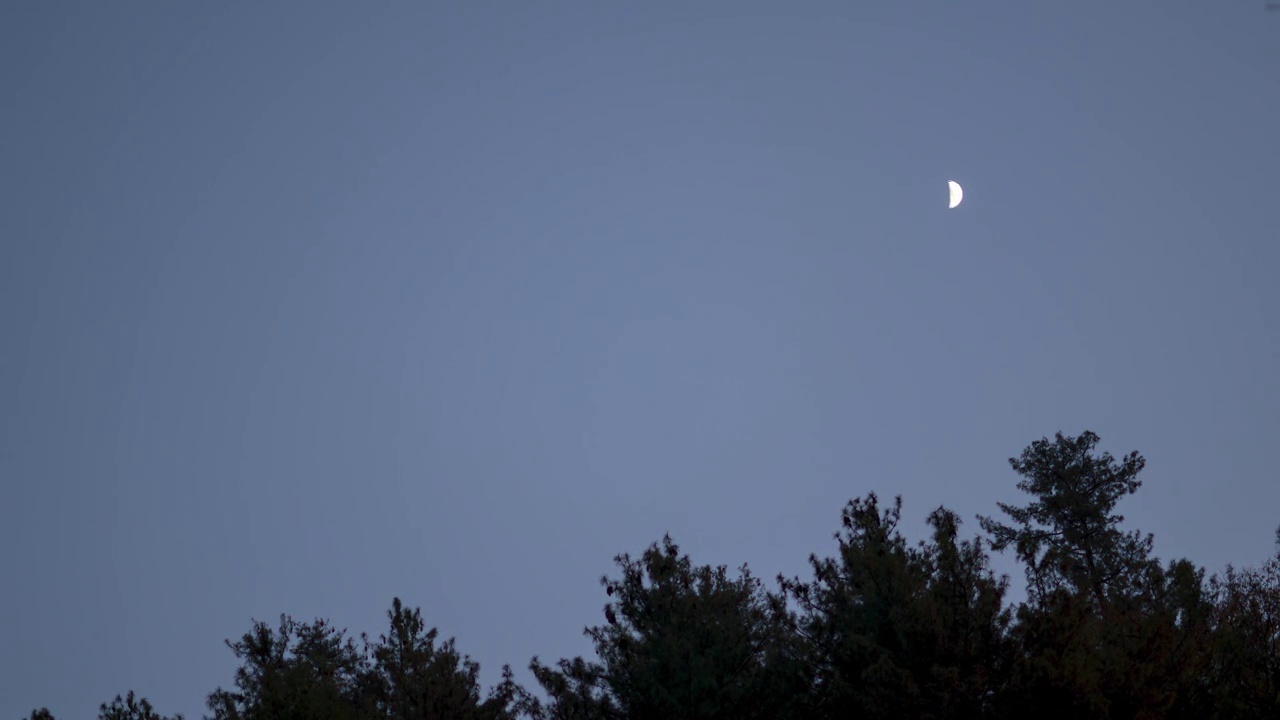 在印度喜马偕尔邦马纳里的Van Vihar，月亮和星星在松树树林上方的时间流逝。日落后的月亮和星星在松树林上。视频素材