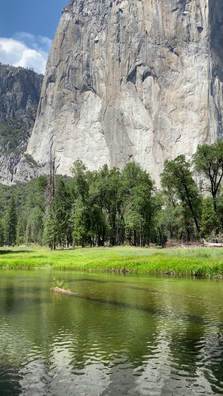 近垂直平移视频山，森林，树木和河流约塞米蒂国家公园视频素材