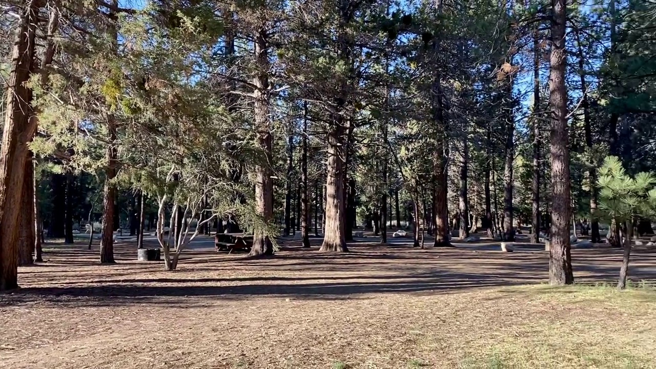 空山露营区在国家森林在初秋秋天季节大熊加利福尼亚视频素材