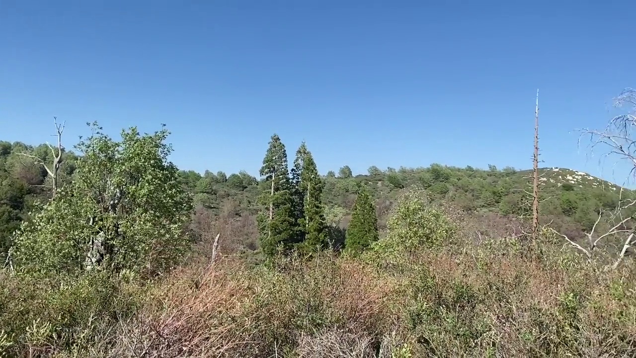 在午后的阳光下，在国家森林的徒步旅行路线上的山脉景观视频素材