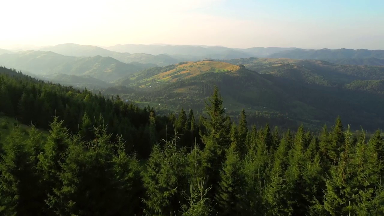 鸟瞰青山峡谷的壮丽景色。视频素材