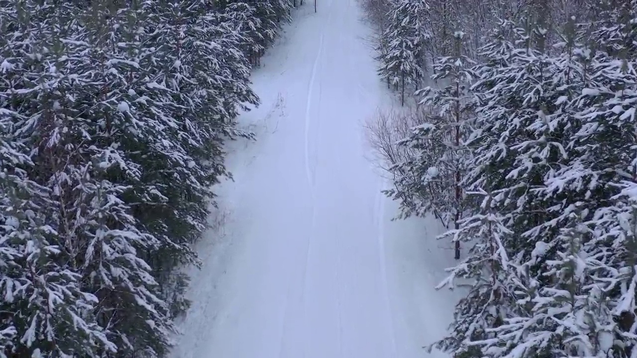 从无人机鸟瞰积雪覆盖的冬季松树林。松树的树枝上结满了霜视频素材