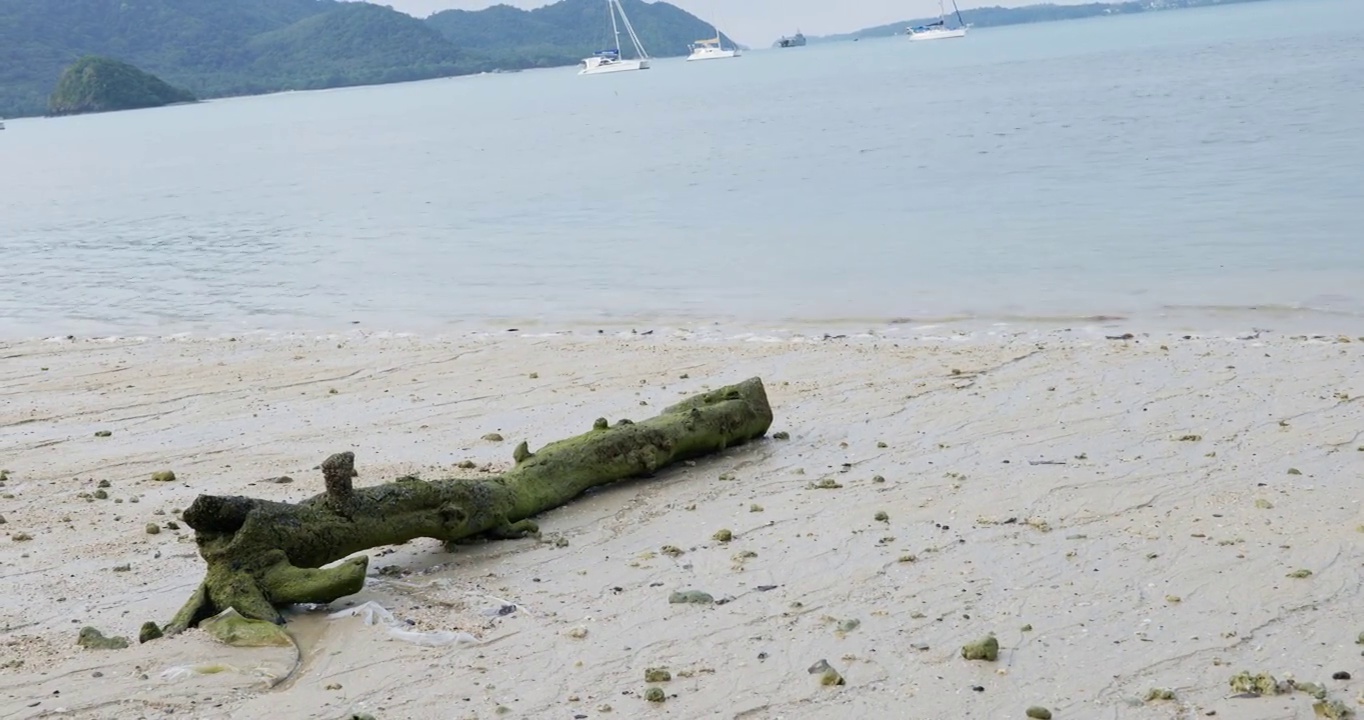 圆木和平静的蓝色海洋视频素材