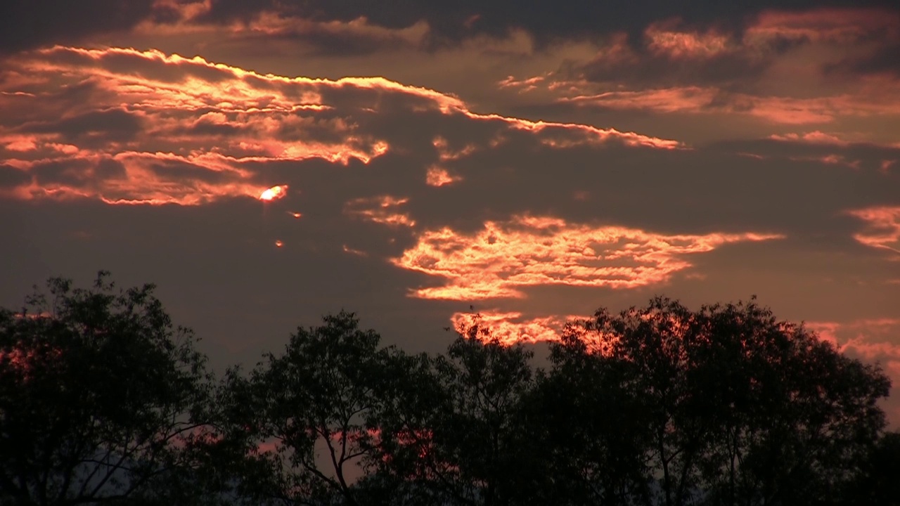 晚霞略带红色，落叶林上有蓬松的云朵视频素材