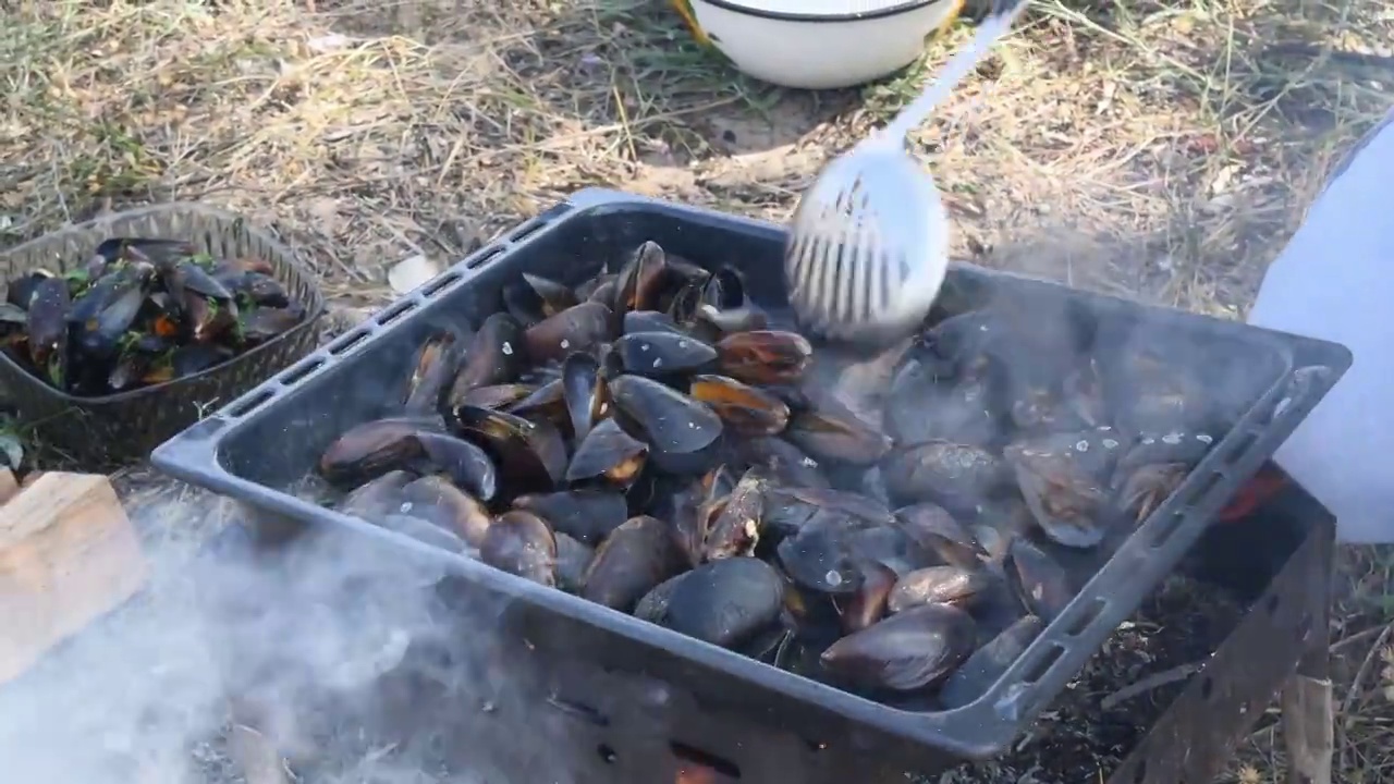 海鲜贻贝在壳烹饪户外烧烤与火和蒸汽芒果视频素材