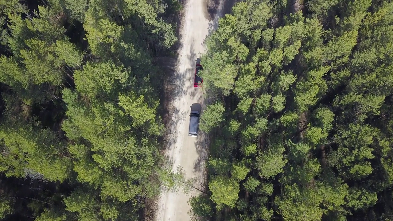 两辆红色和银色的小型货车正沿着森林道路行驶。从以上观点。无人驾驶飞机射击。视频素材