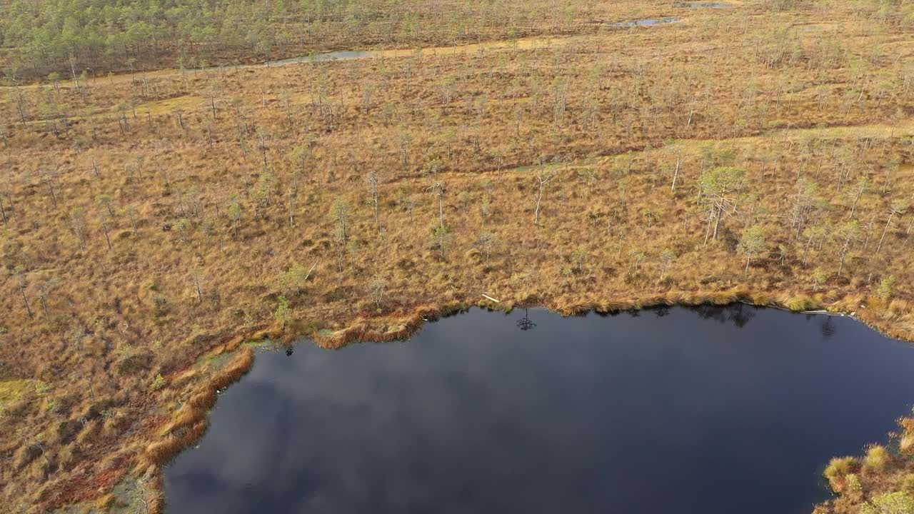 日出时飞过泥炭沼泽中的小湖，从空中拍下了姆辛斯基沼泽视频素材