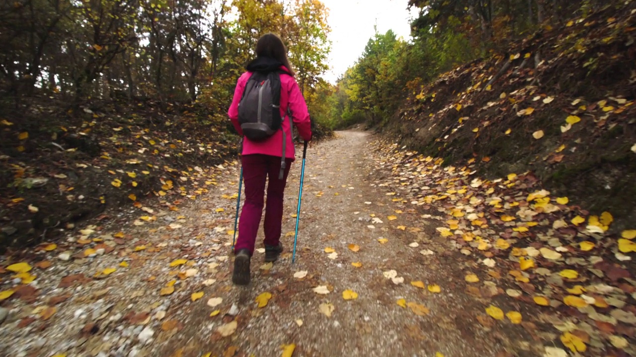 徒步旅行的女孩带着杆子和背包在山区森林的土路或小径上行走。秋天的户外旅行和健康的生活方式。后视图。视频素材