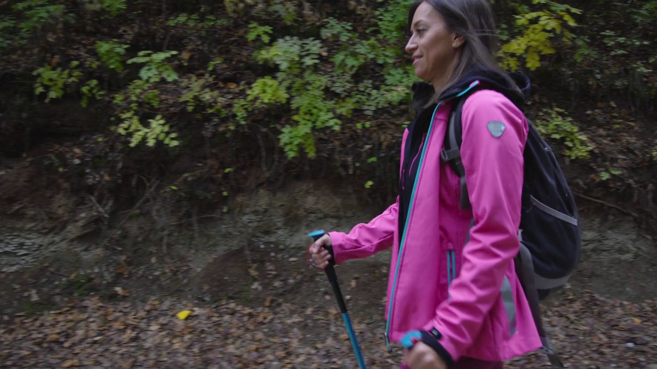 徒步旅行的女孩带着杆子和背包在山区森林的土路或小径上行走。秋天的户外旅行和健康的生活方式。后视图。视频素材